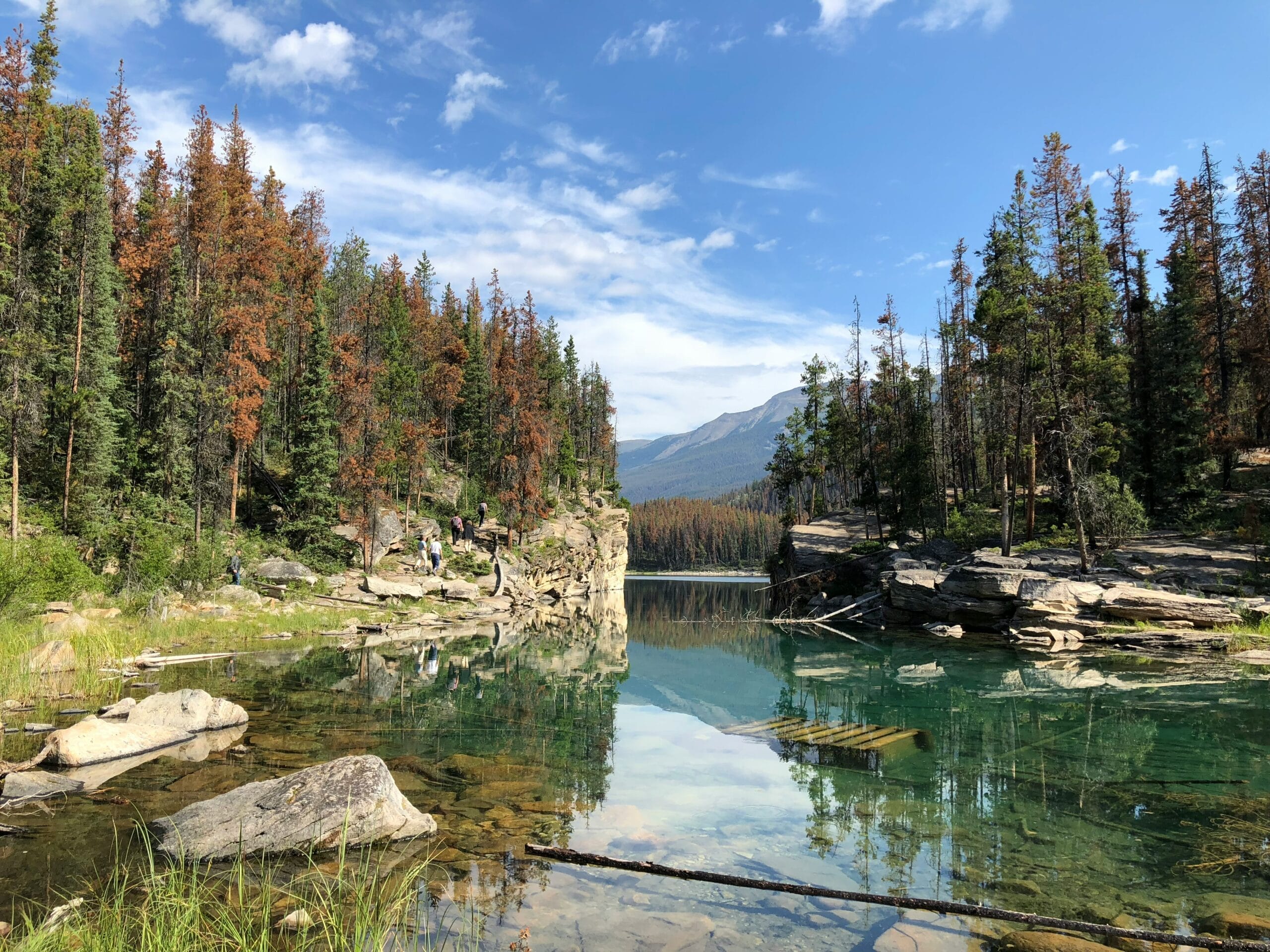 Jasper national park